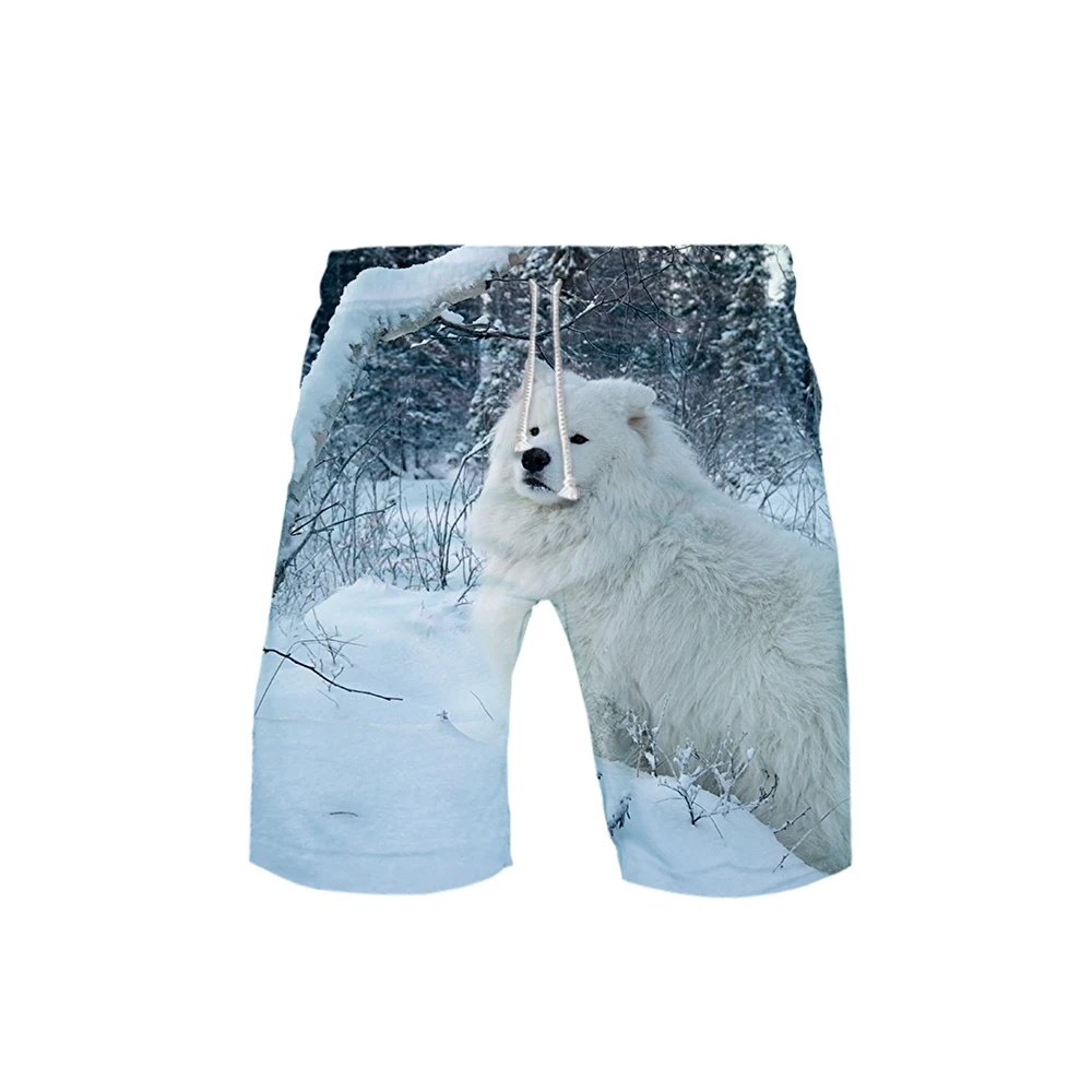 Samoyed 3D шорты летние быстросохнущие пляжные мужские шорты хип хоп бермуды плавающие шорты мужские