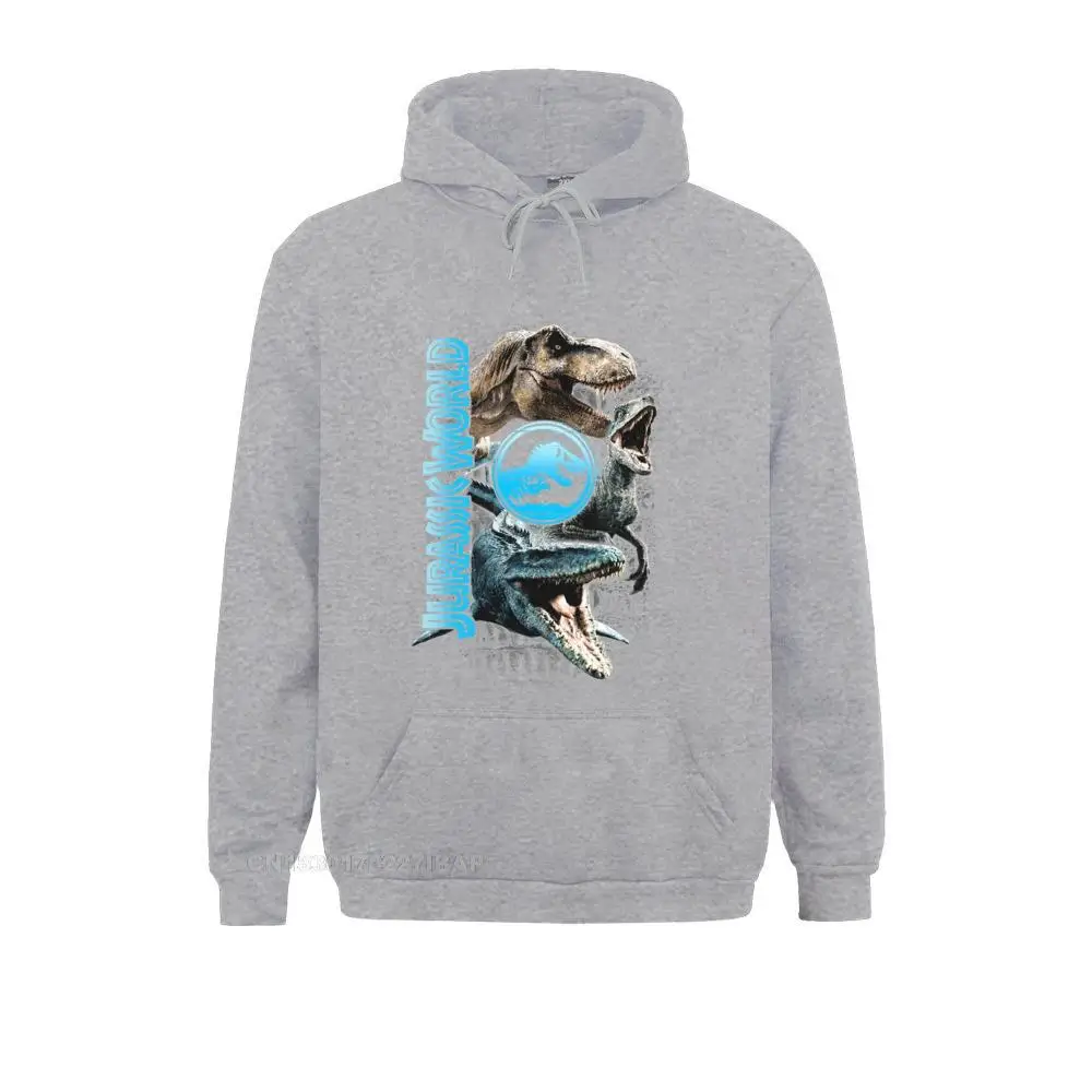 asual Male Long Sleeve Hoodies Family ostern Day Sweatshirts cosie Sportswears Fashionable  Free Shipping 15659 grey