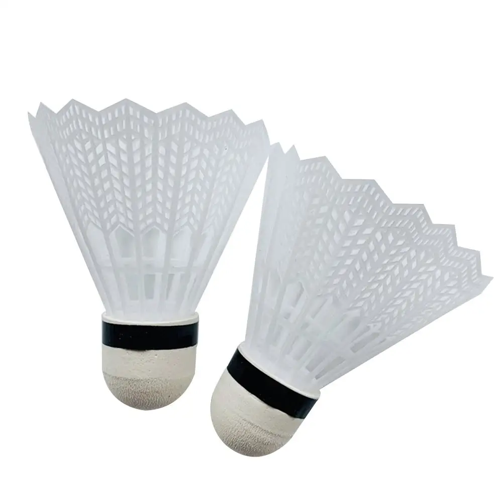 19pcs/set Professional Badminton Rackets Set Family Double Badminton Racquet Titanium Alloy Lightest Playing