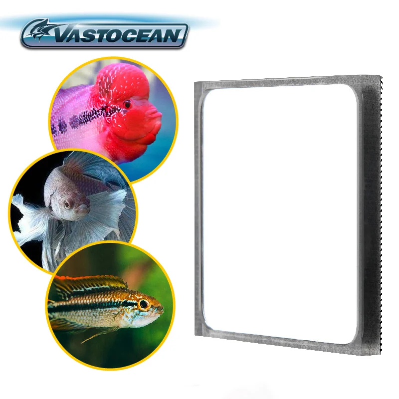 VASTOCEAN Multifunction Betta Fish Magnetic Mirror Training Fighting Spirit Tank Rub Mobilize Energy Antidepressant | Дом и сад