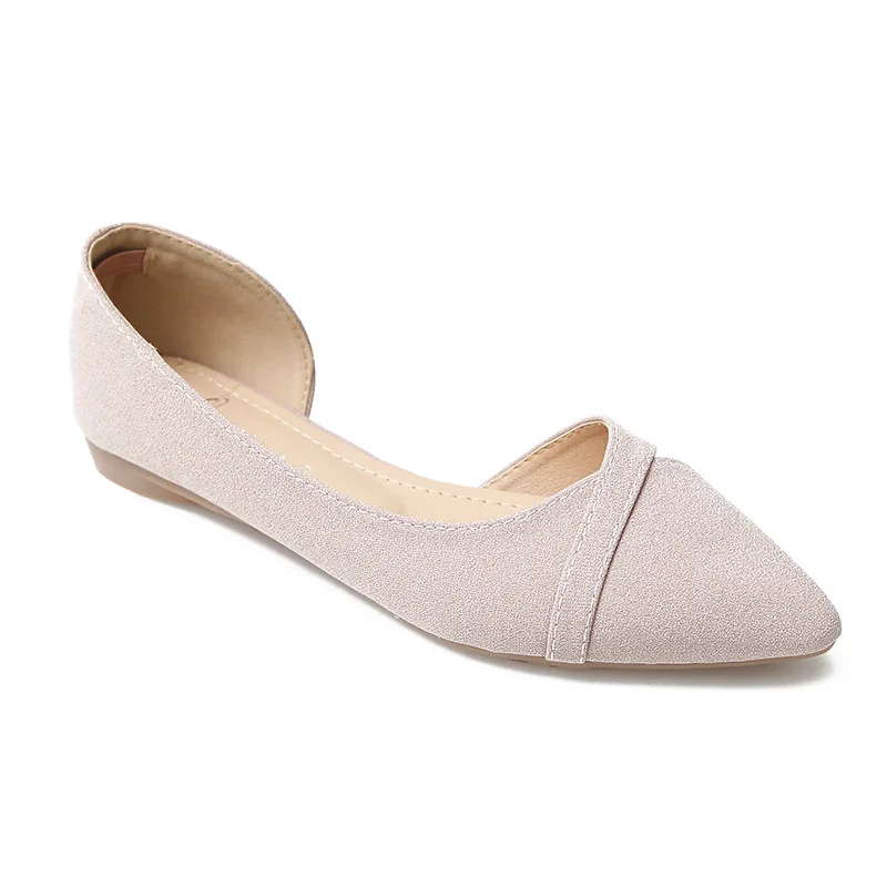 9095469869_837066992