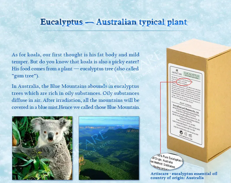 eucalyptus_06