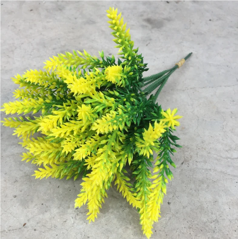 小5叉薰衣草 (3)