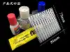 AJ0073  Etching Film Universal Glue Sticks Dispensing Sprite Contact  Model Building Tools 85x75mm 6