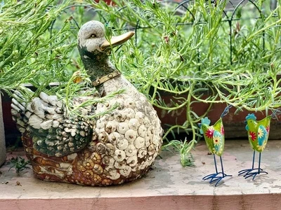 O1CN01AtsqXd2M5SYGPHJxY_!!0-rate.jpg_400x400