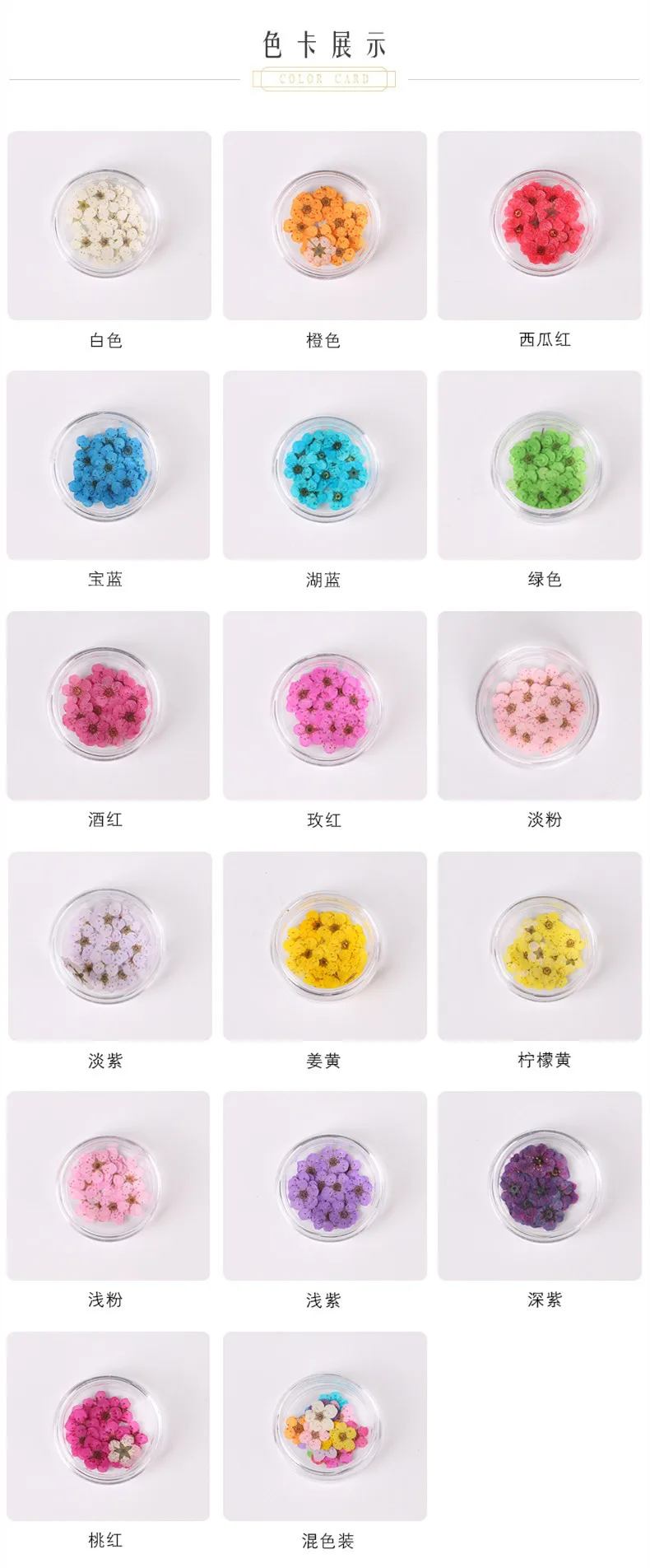 20pcs Nail art dried flower small plum pressed flower daffodil embossed diy natural flower sticker face decoration silk flower artificial & dried flora