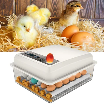 

220V Eggs Incubator Brooder Chick Incubator Hatchery Poultry Hatcher Turner Bird Quail Incubator Automatic Farm Incubation Tools