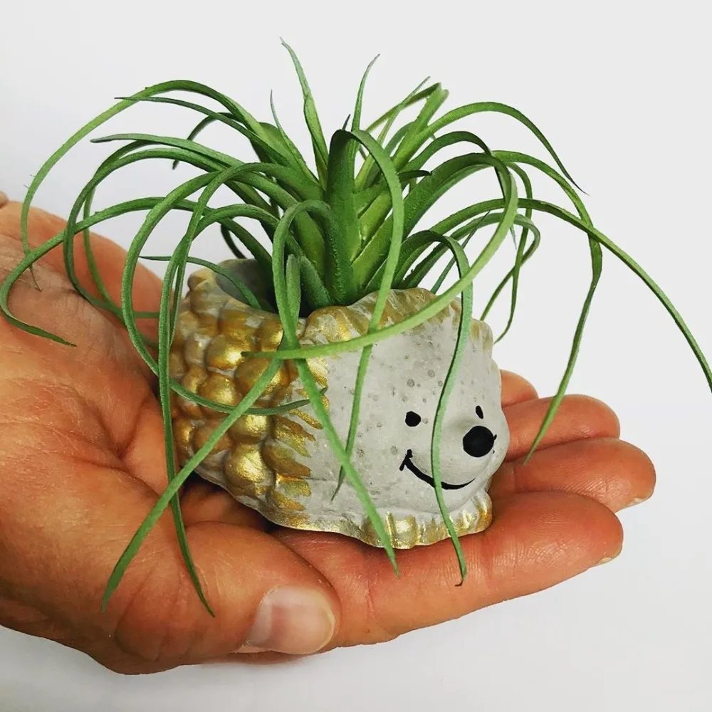 4 (1)