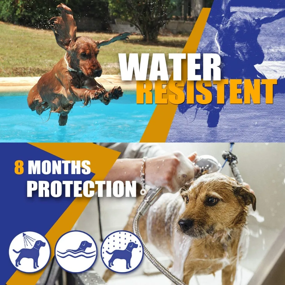 81vZQmdcOSL._AC_SL1500_