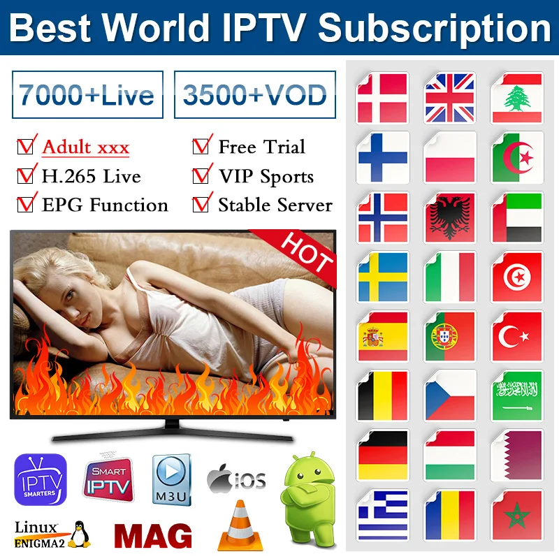 

Smart IPTV Subscription Spain Germany Turkey Arabic IPTV Spain M3u Adult IPTV XXX Code IP TV Portugal Morocco Africa Algeria 4K