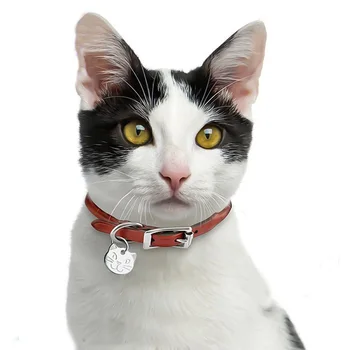 

Personalized Engraved Cat Name Tag Anti-lost Stainless Steel Dog Tag For Cat Collar Accessory Customized Pet ID Tags
