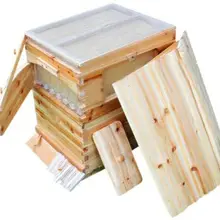 CE 7 шт Модернизированный инструмент пчеловода улья рамки+ улей деревянный ящик