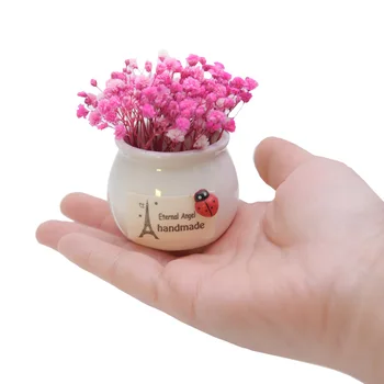

Eternal Life Flower Full Of Small Flowers Mini Bottle Home Car Potted Living Room Bedroom Study Decorative Potted Plants
