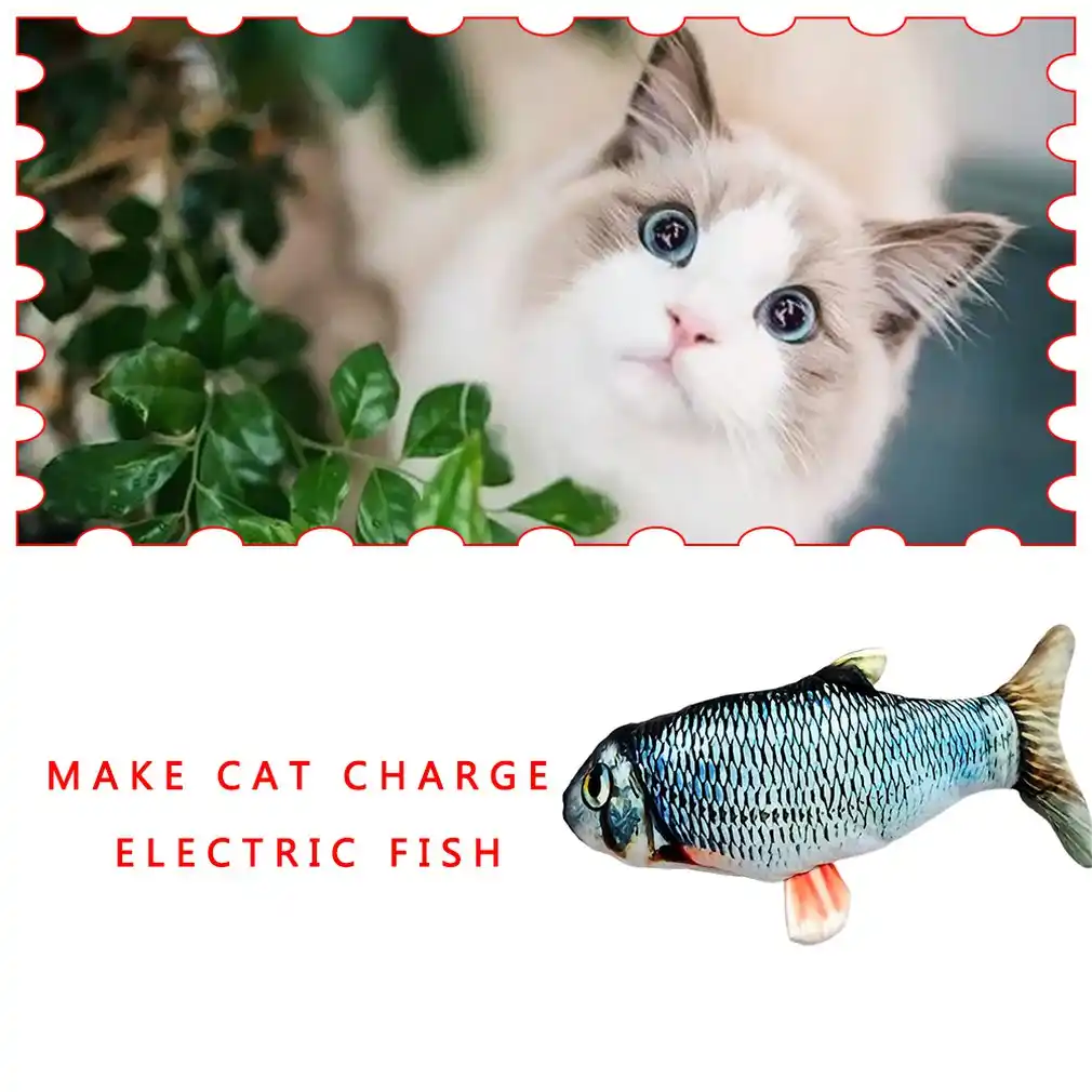 Realiste En Peluche Simulation Electrique Chat Mobile Poupee Poisson Drole Interactif Wiggle Poisson Pour Kitty Flop Poisson Chat Chat Herbe A Chat Jouet Aliexpress