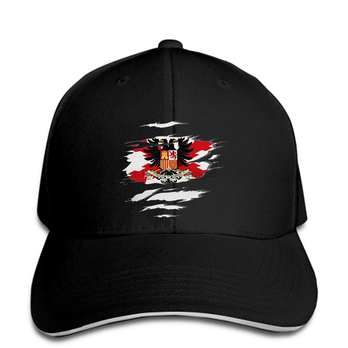 

CAMISETA BANDERA ESPAnA TERCIOS DE FLANDES EFECTO DESGARRADO Men Baseball Cap Snapback Cap Women Hat Peaked