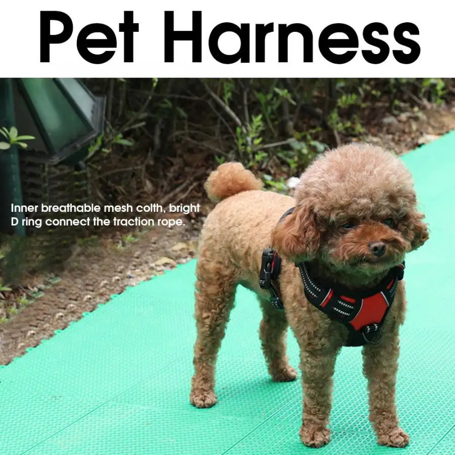 Pet Dog Harness Oxford Cloth Pet Leads Chest Straps Harness Explosion Proof Rushed Collar Traction for Medium Large Dogs Leash