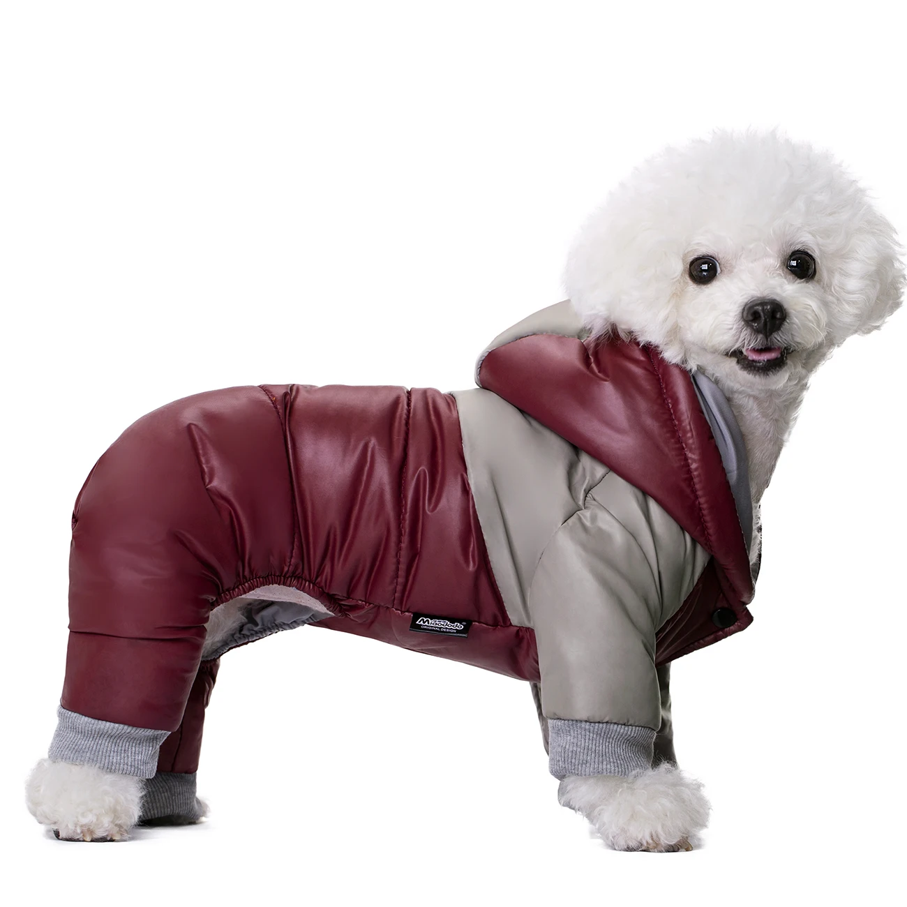 Dog clothes on clearance Clearance