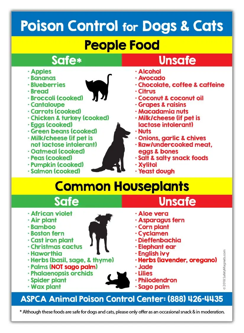 

For Poison Control for Dogs and Cats Sticker 5 x 7 in.