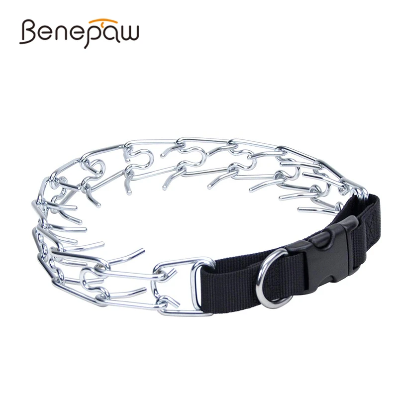 safe choke collars for dogs