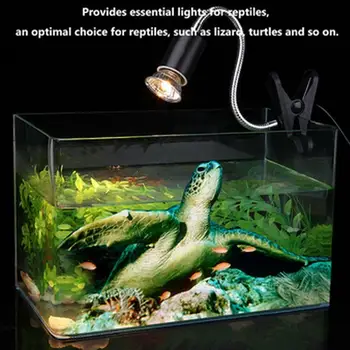 

UVA+UVB 3.0 Reptile Lamp Kit with Clip-on Ceramic Light Holder Turtle Basking UV Heating Lamp Set Tortoises Lizard Lighting 220V