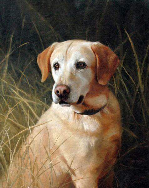 Перро 5D диаманта мозаика pintura de diamante hecha a mano punto de cruz completo diamante bordado animales patrones diamantes d - Цвет: 5