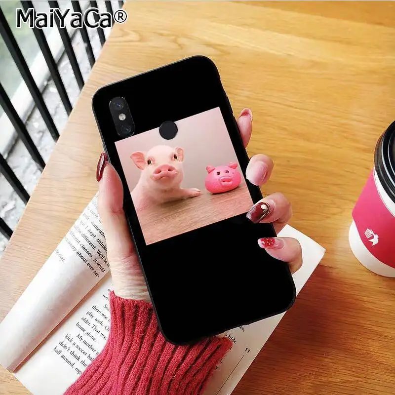 Couples Cartoon Lovely Pink Pet Pig