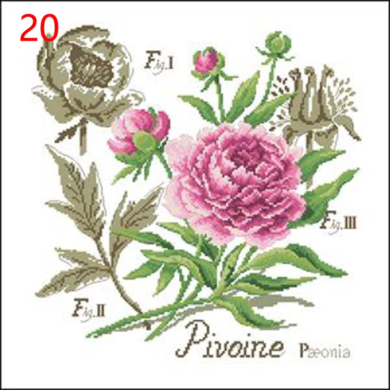 20 重绘8529-牡丹DFEA阴影花系列1