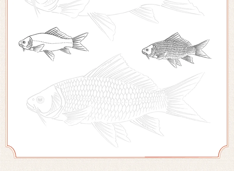Sorgfältige Malerei, Strichzeichnung, Kopie, Malbuch, Grundtraining, intensive Verbesserung, Tutorial, Skizzenbuch, chinesische Malerei – Detail 15