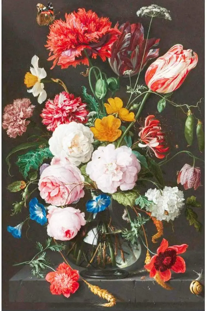 61g+6wL+dwL._AC_SL1001_