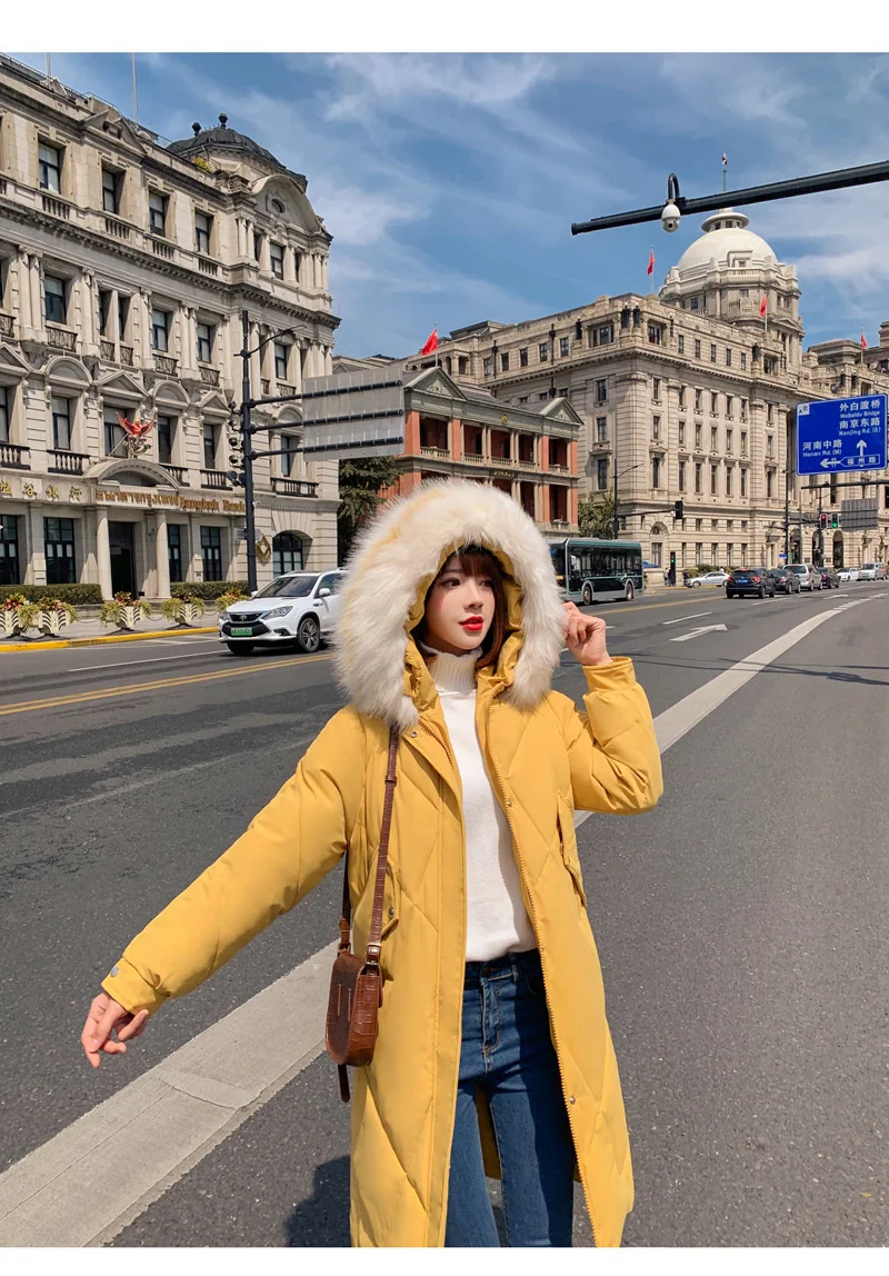 11602043770_822615558