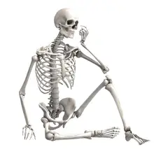 90 см прочный Имитация человека Скелет орнамент Хэллоуин вечерние бар реквизит для дома с привидениями украшение дома