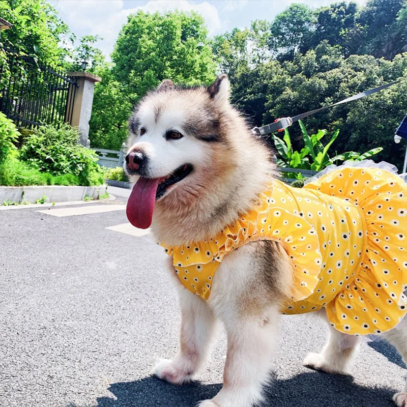 Dog Dresses Large Dogs Pet Dress Large Dogs Clothes Golden Labrador Print Dog Aliexpress