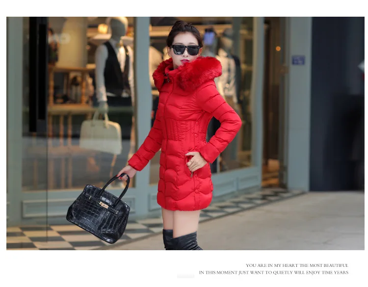 2451358989_1570061270