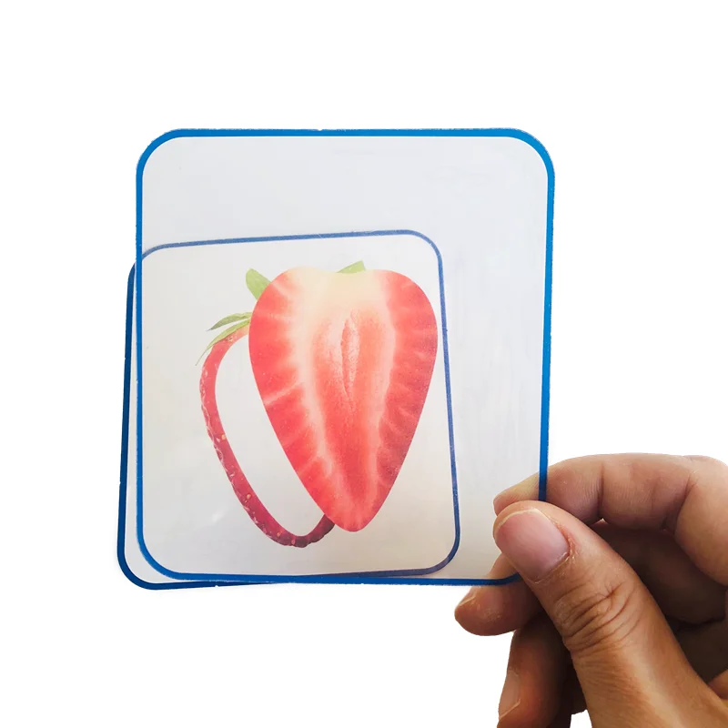 Montessori Language Materials Vegetable Fruit Cognitive Cards Kids Learning Resource Matching Game Early Childhood Education Toy 5