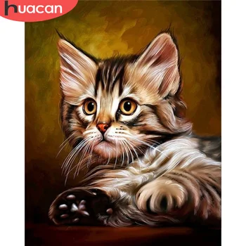 

HUACAN Coloring By Numbers Cat Animal DIY Painted Acrylic Oil Painting By Numbers Canvas Decoration Art Picture Gift