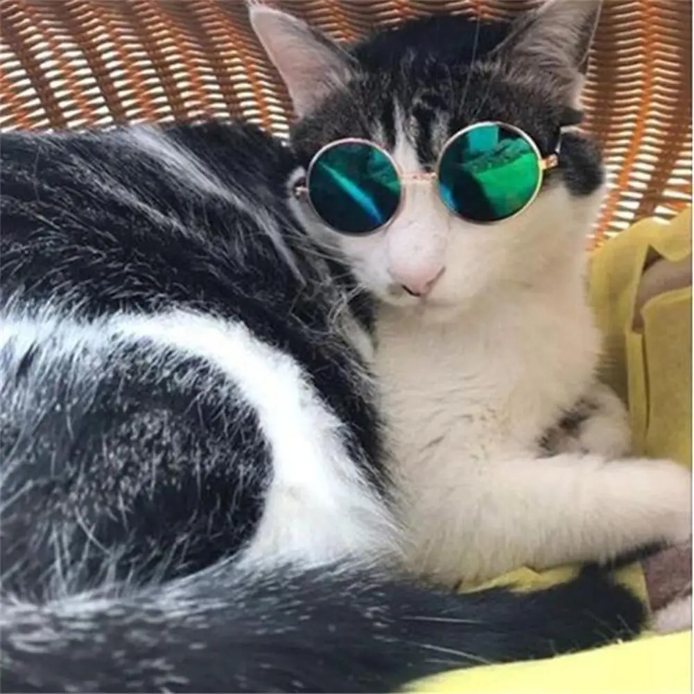 1 шт. Pet Солнцезащитные очки Модные Pet крутые очки фото реквизит аксессуары для животных принадлежности кошачьи очки товары для домашних животных глаз Одежда для собак