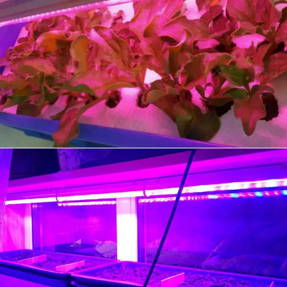 

Plants Growth Lights AC_85-265V Hydroponic Lighting Accessory Garden LED Strip Bar NEW US Plug 5Pcs Convenient Indoor