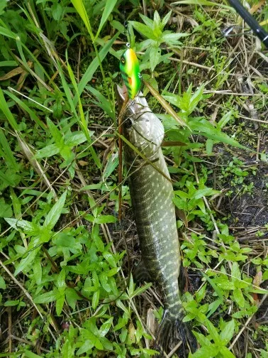 Hunthouse slider sinker fishing VIB jerkbait lure 7&10cm crankbaits jerkbaits fishing pike leurre pesca jerkbait wobblesr