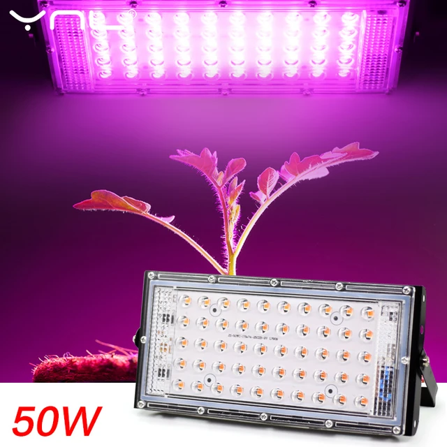 LED Grow Light Phyto Lamp AC 220V 50W LED Full Spectrum Floodlight Indoor  Outdoor Greenhouse Plant Hydroponic Plant Spotlight - AliExpress