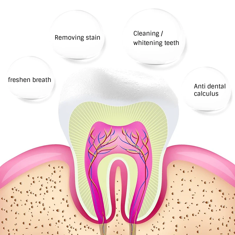 OMY LADY Fresh Shining Green Tea Extract Tooth-Cleaning Mousse Toothpaste Teeth Whitening Oral Hygiene Removes Plaque Stains