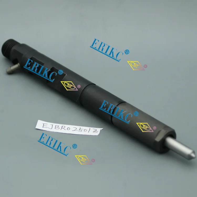 ERIKC EJBR02501Z автозапчасти топливный инжектор EJB R02501Z Common Rail впрыска высокого давления для Евро 3 двигателя