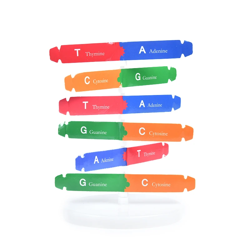 HTB1ShMKXpP7gK0jSZFjq6A5aXXaB