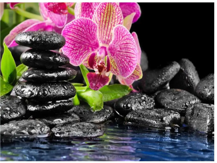 Орхидея стоит в воде. Самая красивая орхидея в мире. Орхидеи. Цветы на воде. Орхидеи обои.