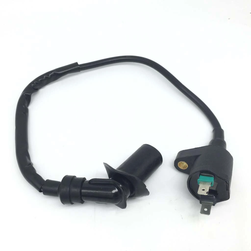 Wiring Loom Harness Kill Switch Ignition Coil CDI For 50cc-160cc SSR Thumpstar Kick Start Pit Dirt Bike