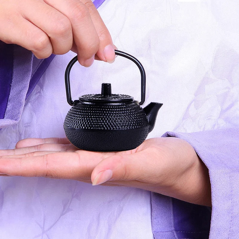Kettle Teapot Japanese Style Cast Iron 50ml Comes + Strainer