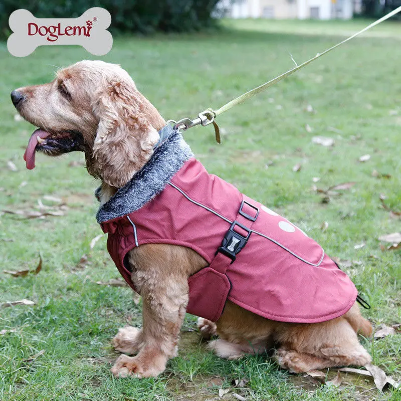 UK Pet Dog водонепроницаемая одежда для осени и зимы теплое Стеганое пальто жилет куртка