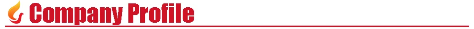 公司介绍
