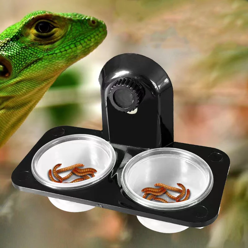 Leeds Milieuactivist Collega 1Pcs Reptielen Terrarium Insect Spider Chameleon Snake Gecko Voedsel Water  Voeden Kom Fokken Feeders Box Huisdieren Benodigdheden|Voeding en  watervoorzieningen| - AliExpress