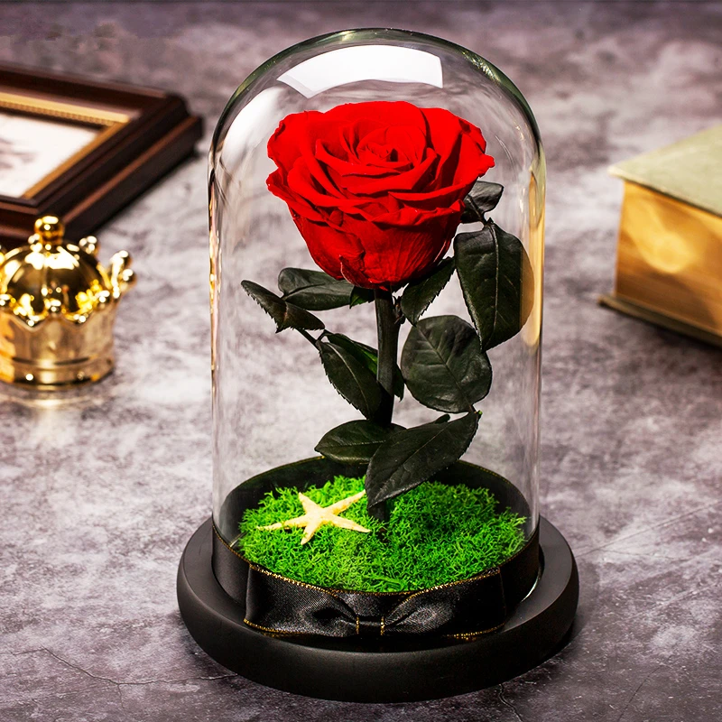 Красивая стильная модная и с рисунком из мультфильма Красавица Чудовище красная