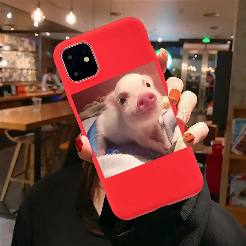 Забавный чехол для телефона с рисунком поросенка для iphone 11 Pro XS MaxX XR чехол для iphone 6 S 5 5S 7 8 plus Мягкий чехол милые Чехлы для пар - Цвет: red TPU F3183